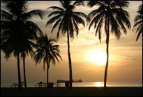 Fort Lauderdale: MCITP Windows 2008